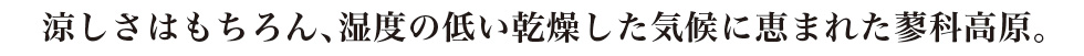涼しさはもちろん、湿度の低い乾燥した気候に恵まれた蓼科高原。