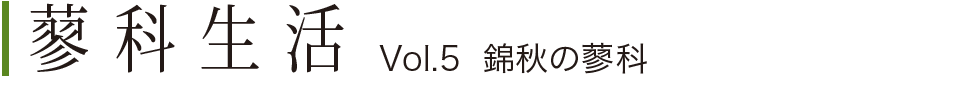蓼科生活Vol.5 錦秋の蓼科